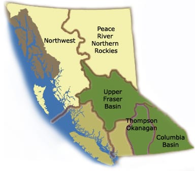 Bc S Living Landscapes Royal Bc Museum And Archives