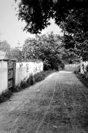 The street by Helmcken House, about 1900