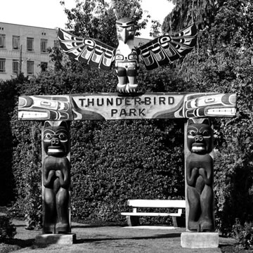 Portique affichant le nom du parc Thunderbird