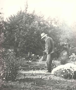 Dr. Helmcken dans son jardin environ 1916