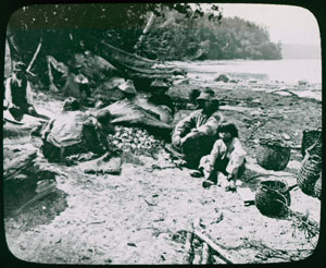 Les palourdes étaient recueillies dans la baie James puis ramenées au village afin d’être cuites. Les méthodes employée ne différaient guère de ce que l’on voit sur cette photo de la fin du XIXème siècle où des habitants de Cordova Bay font cuire des palourdes à la vapeur. Le contenu de paniers remplis de coquillages était vidé sur des pierres chauffées à blanc dans le feu, puis recouvert de nattes de jonc. De l’eau était ensuite versée sur le feu pour créer de la vapeur, ce qui faisait ouvrir les palourdes.