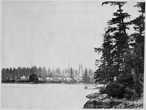 A view of the Esquimalt Reserve in the 1870s
