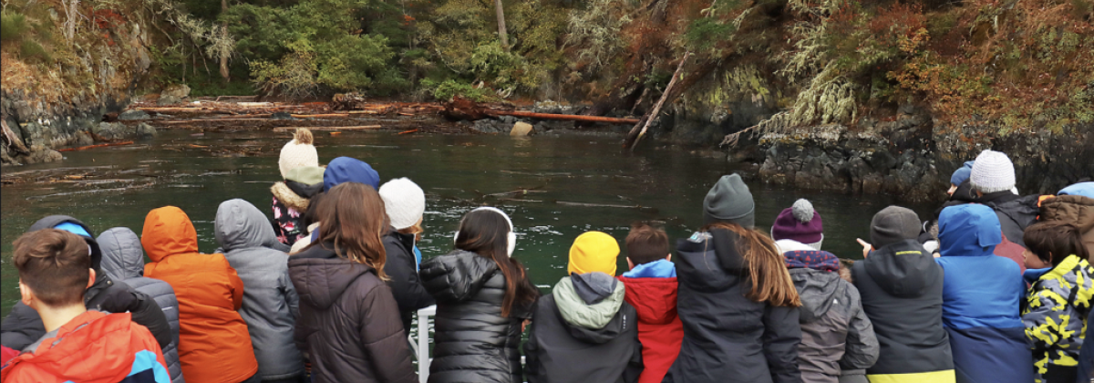 A group of students stand on deck and look out into a secluded bay