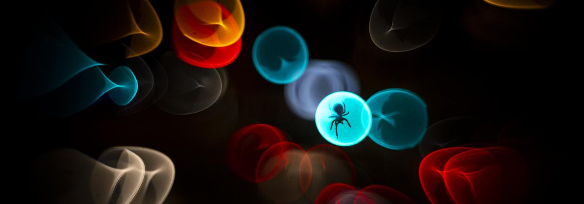 Simone Baumeister, Wildlife Photographer of the Year 