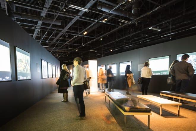 Wildlife Photographer of the Year 2020 | Royal BC Museum and Archives Wildlife Photographer of the Year 2020 | Royal BC Museum and Archives
