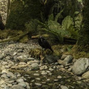 museum forest diorama